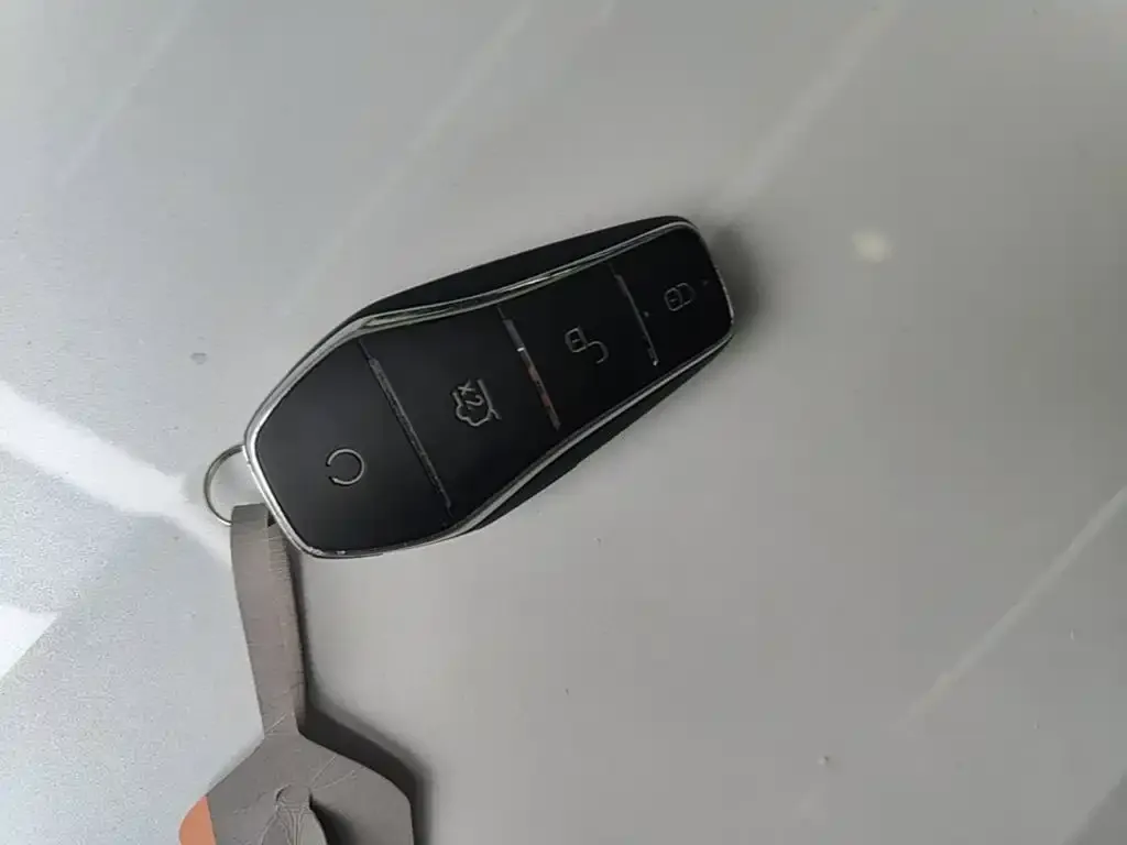 BYD Qin PLUS — фото 2