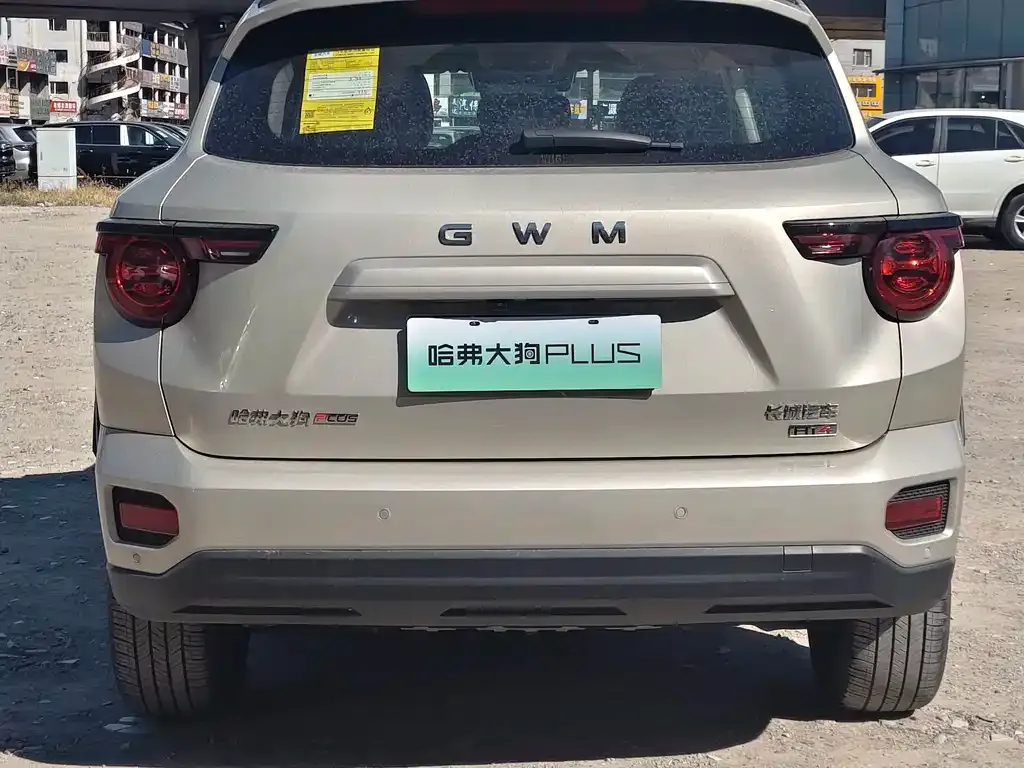 Haval Big Dog PLUS New Energy — фото 9
