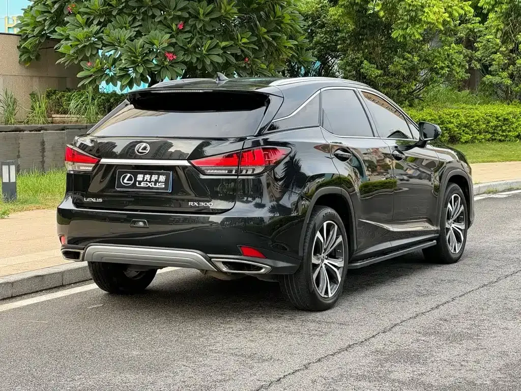 Lexus RX — фото 3