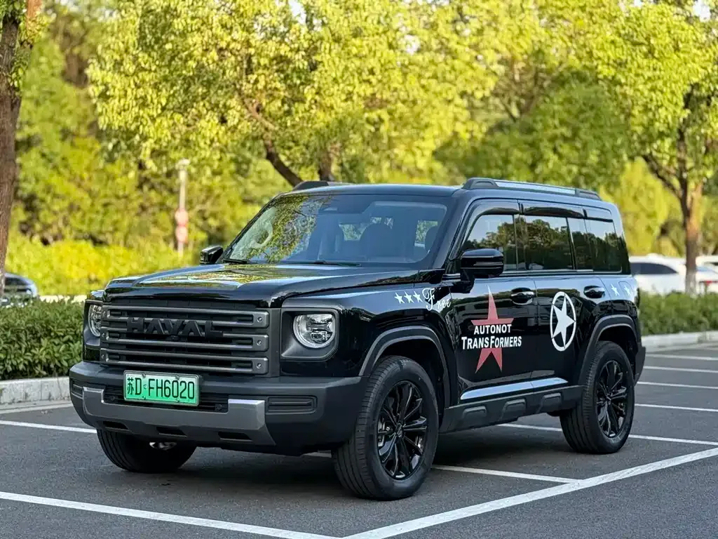 Haval Menglong New Energy — фото 1