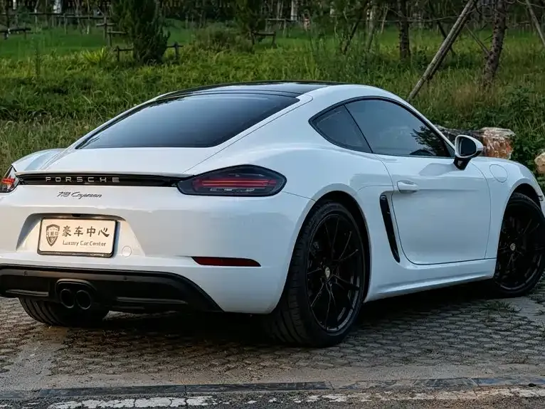 Porsche 718 — фото 10