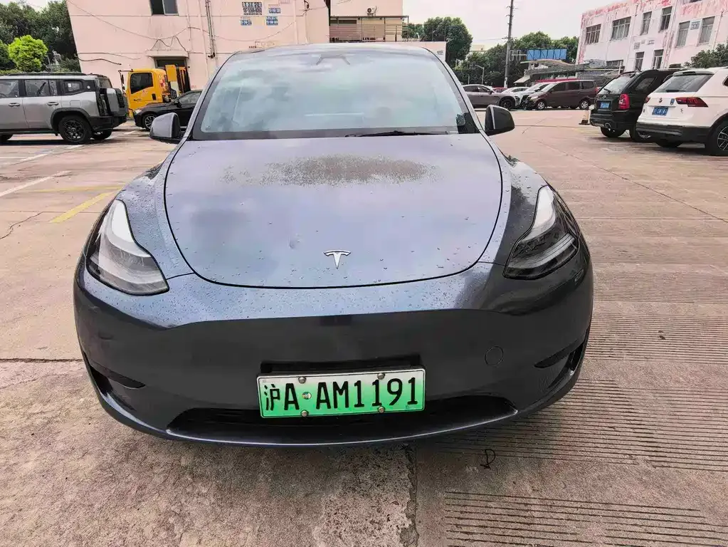 Tesla Model Y — фото 2