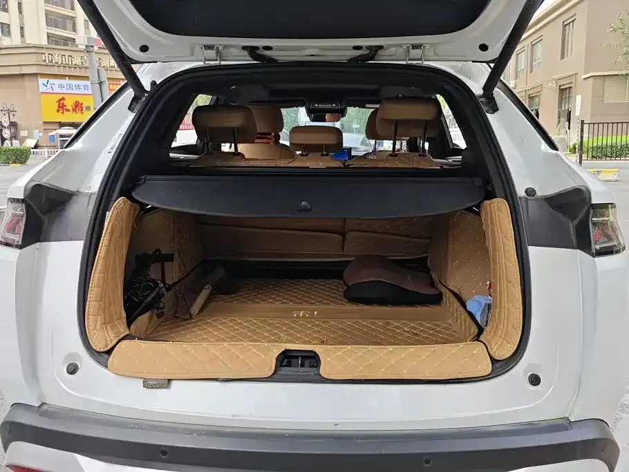 BYD L DM-i — фото 6
