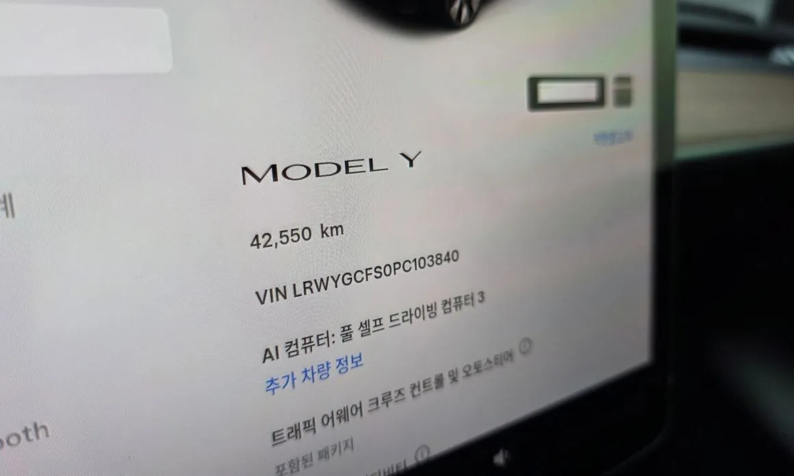 Tesla Model Y — фото 7