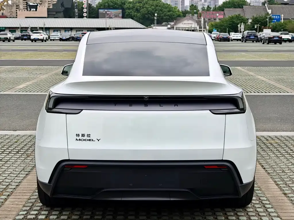 Tesla Model Y — фото 8