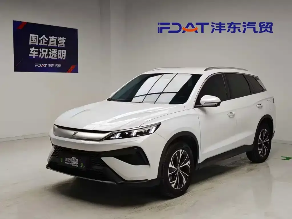BYD Pro New Energy — фото 1