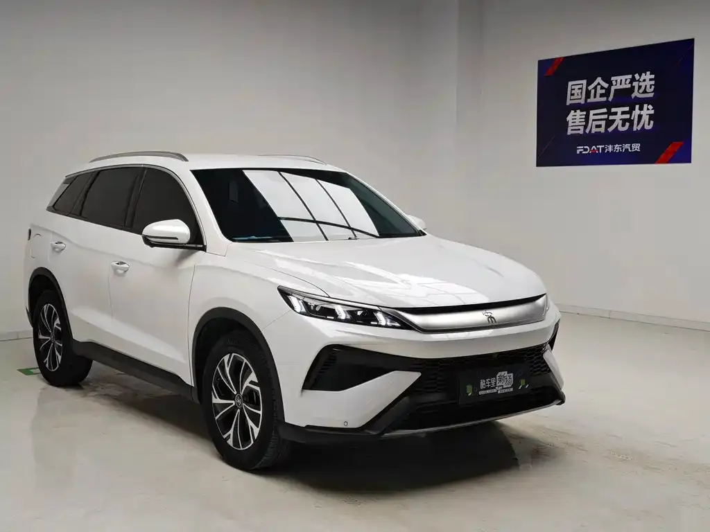 BYD Pro New Energy — фото 6