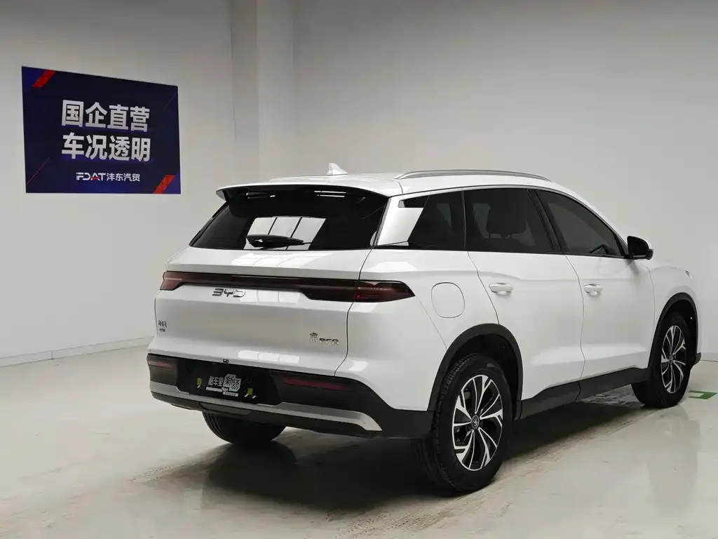 BYD Pro New Energy — фото 5