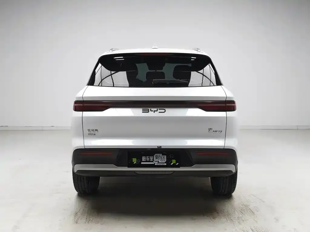 BYD Pro New Energy — фото 7