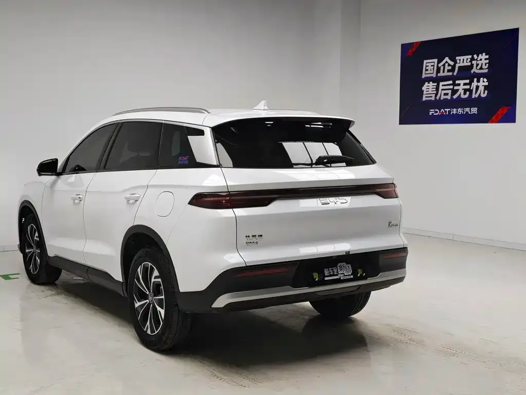 BYD Pro New Energy — фото 3