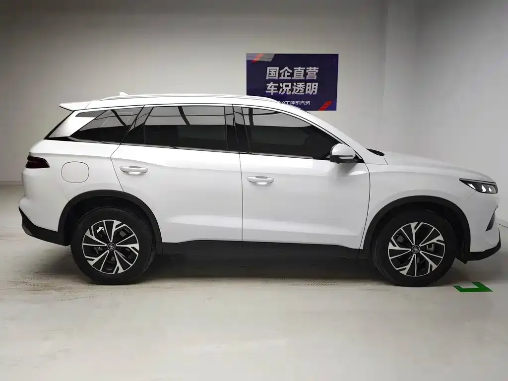 BYD Pro New Energy — фото 2