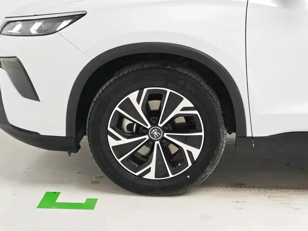 BYD Pro New Energy — фото 4