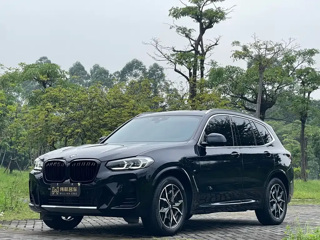 BMW X3 — фото 1
