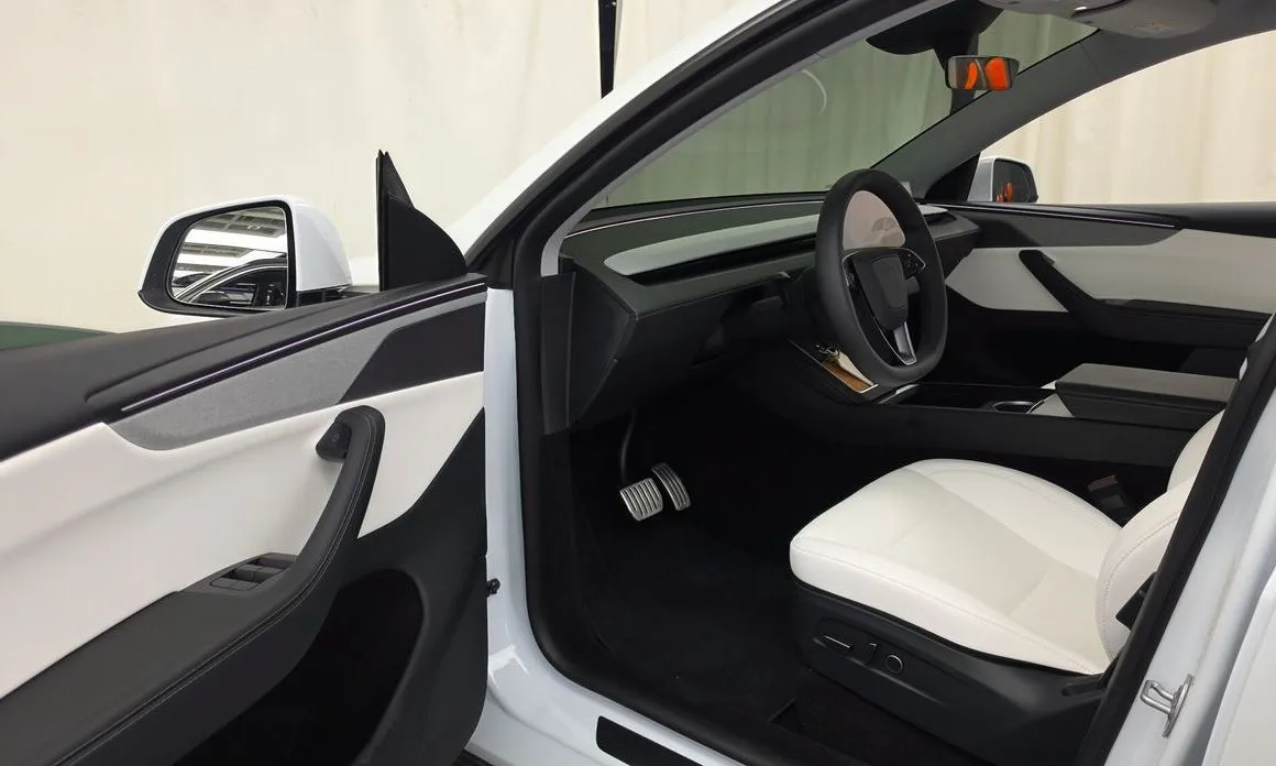 Tesla Model Y — фото 10