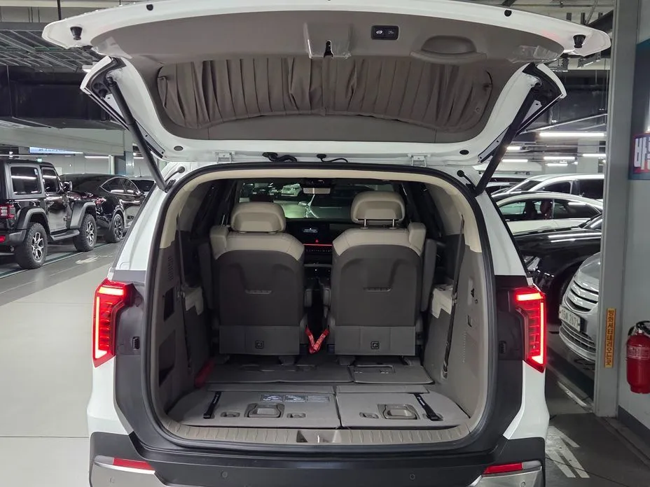 Kia Carnival — фото 10