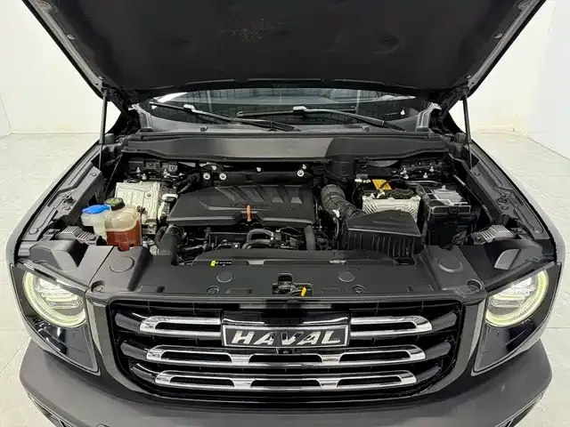 Haval Big Dog — фото 10