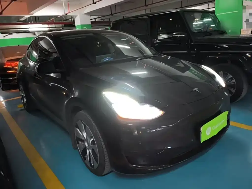 Tesla Model Y — фото 2