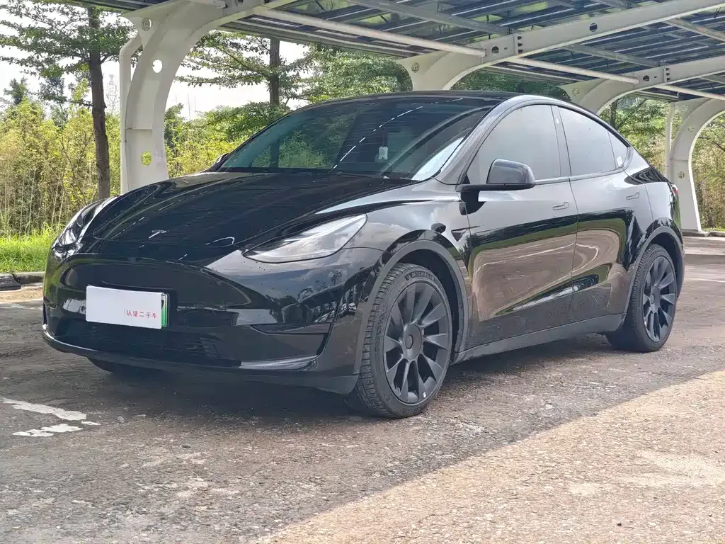 Tesla Model Y — фото 1