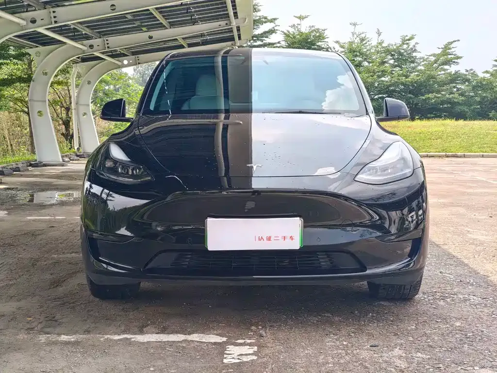 Tesla Model Y — фото 6