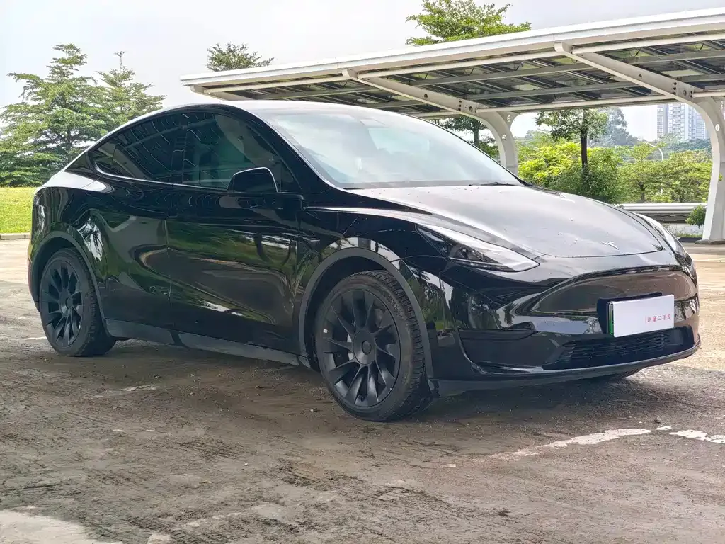 Tesla Model Y — фото 7