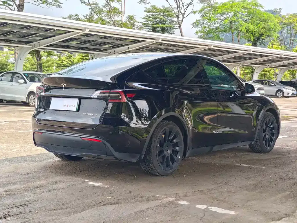 Tesla Model Y — фото 5