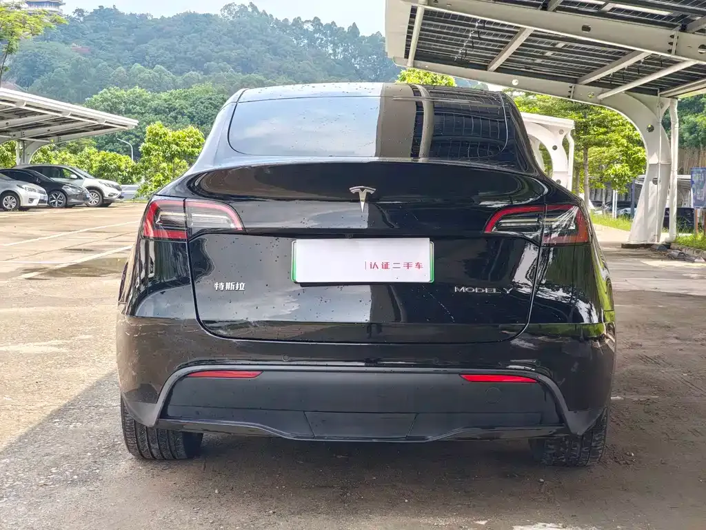 Tesla Model Y — фото 8