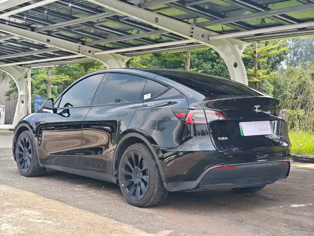 Tesla Model Y — фото 10