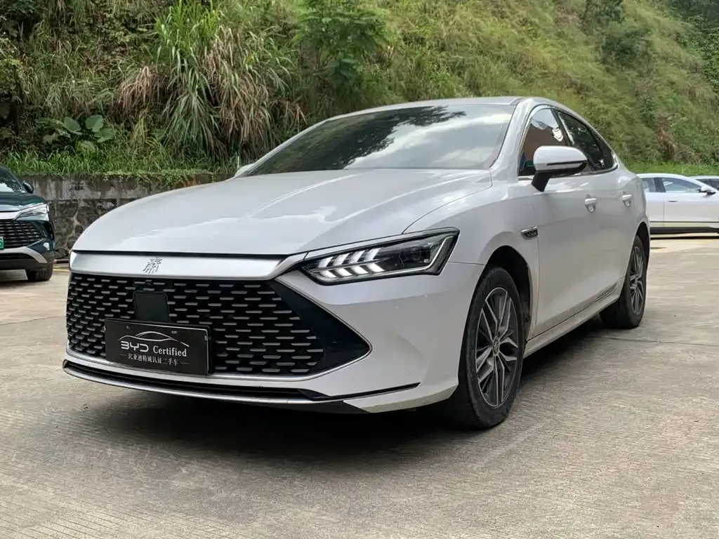 BYD Qin PLUS — фото 1