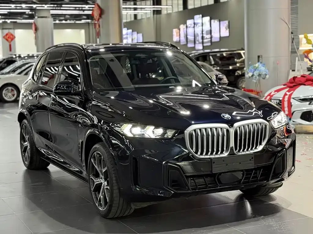 BMW X5 — фото 9