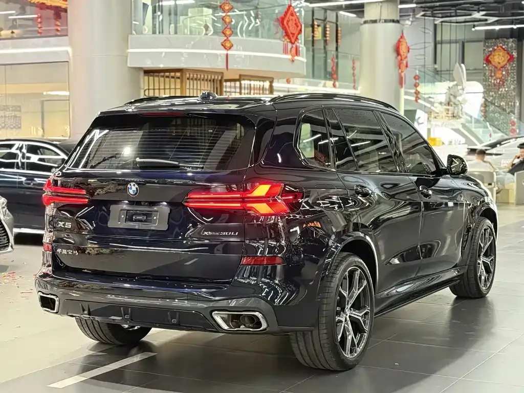 BMW X5 — фото 6