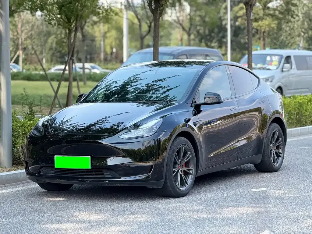 Tesla Model Y — фото 1