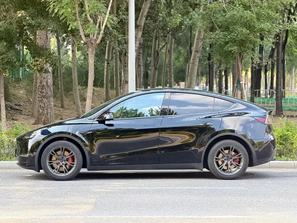 Tesla Model Y — фото 9
