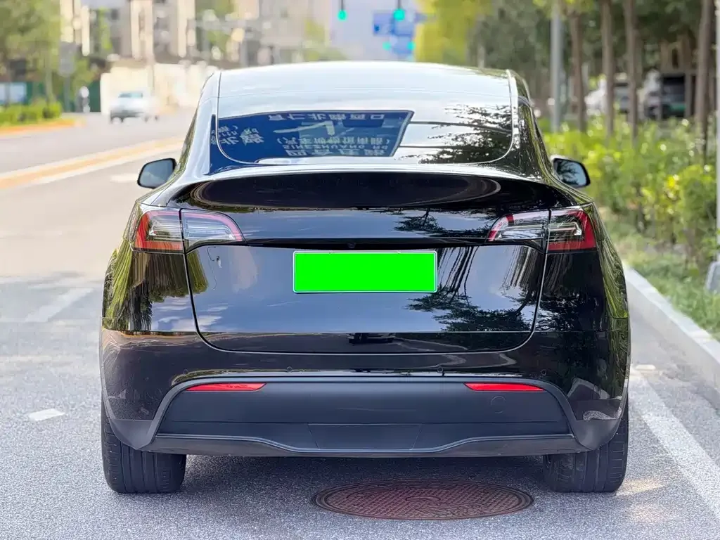 Tesla Model Y — фото 5
