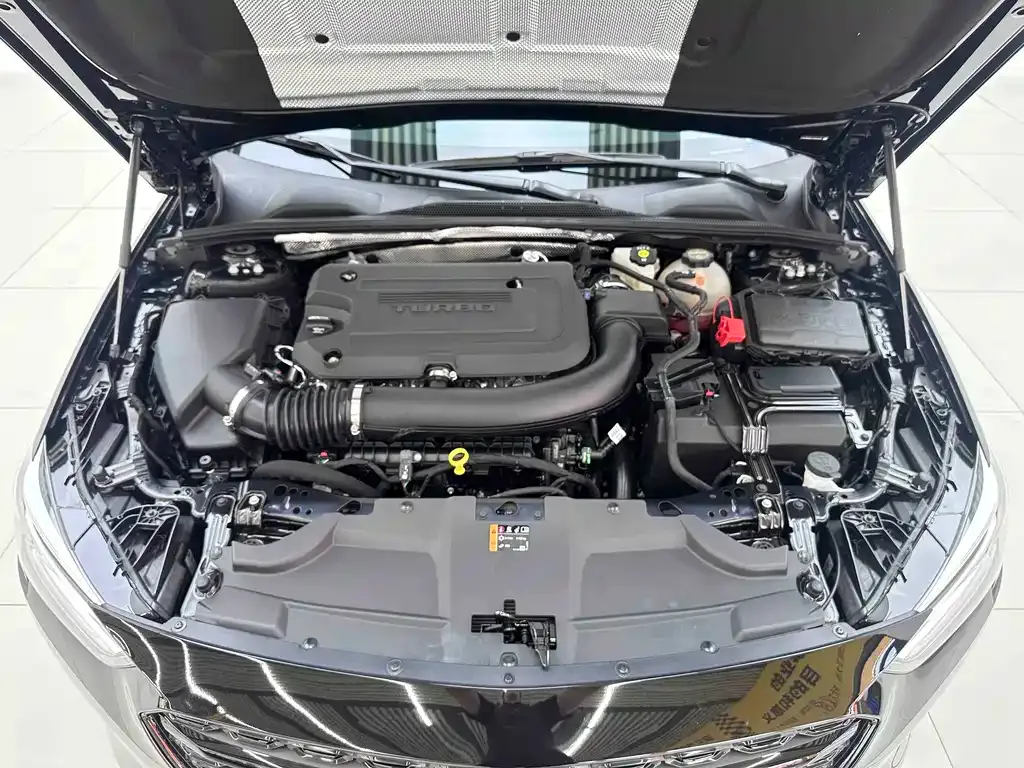 Buick Regal — фото 6