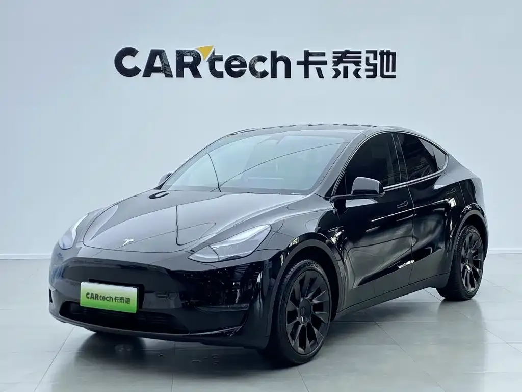 Tesla Model Y — фото 1