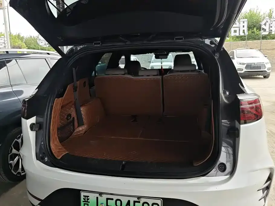 BYD Tang New Energy — фото 10