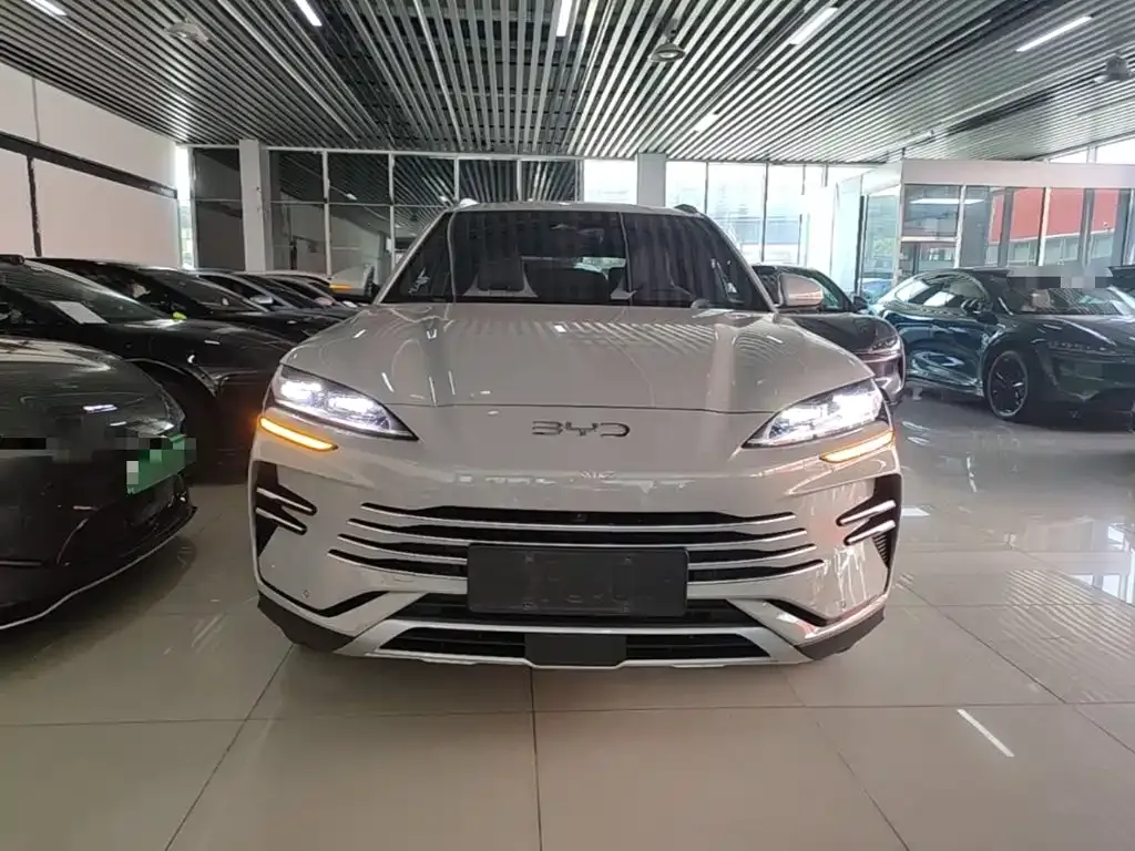 BYD PLUS New Energy — фото 8