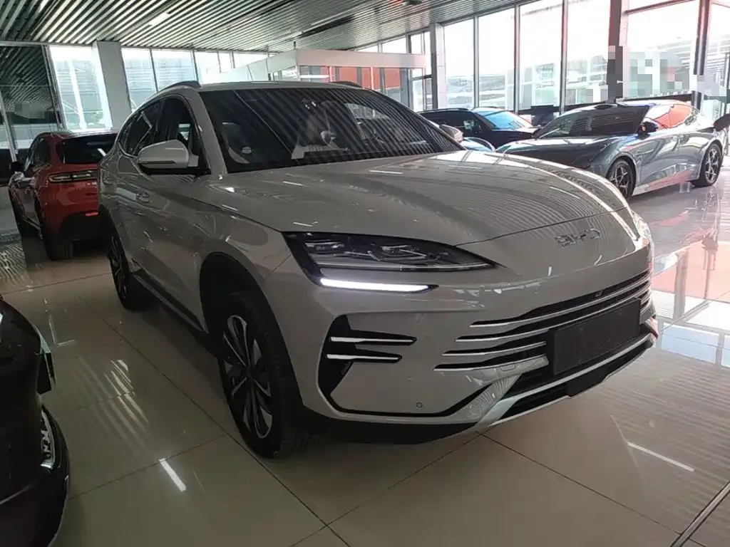 BYD PLUS New Energy — фото 5