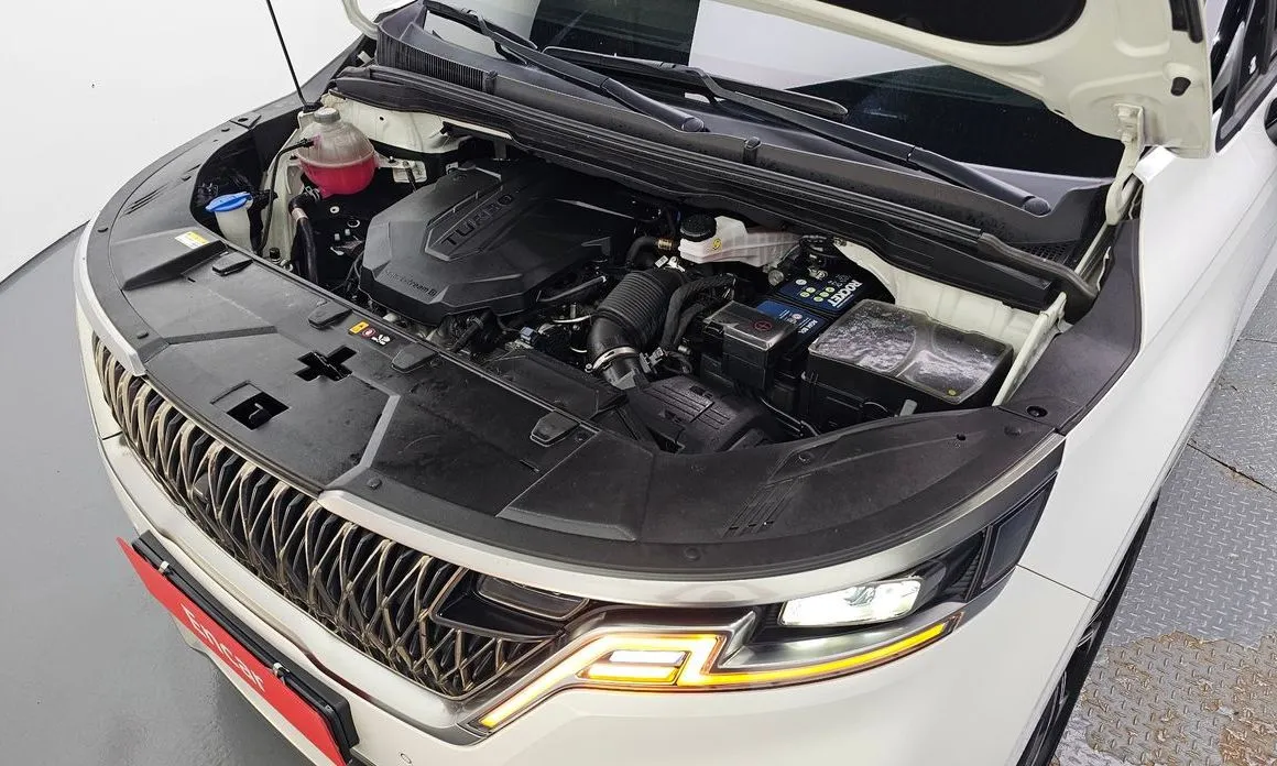 Kia Carnival — фото 10