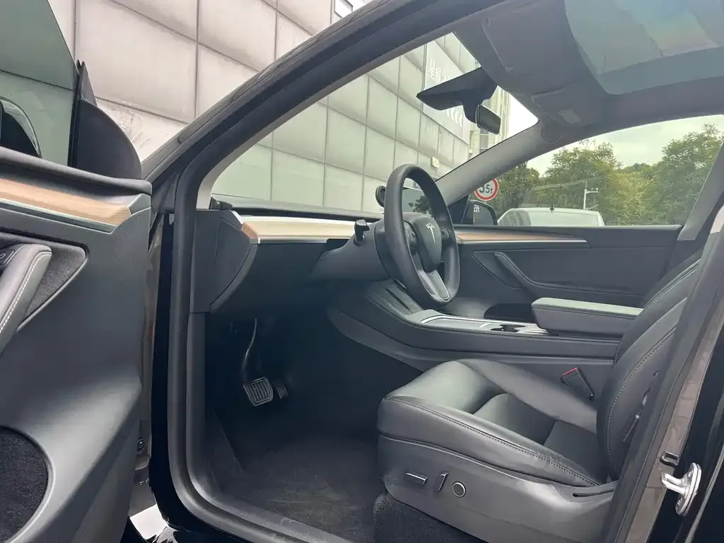 Tesla Model Y — фото 5