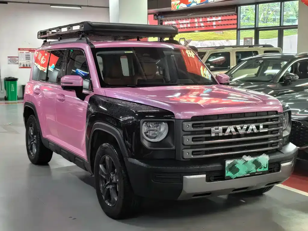 Haval Menglong New Energy — фото 6