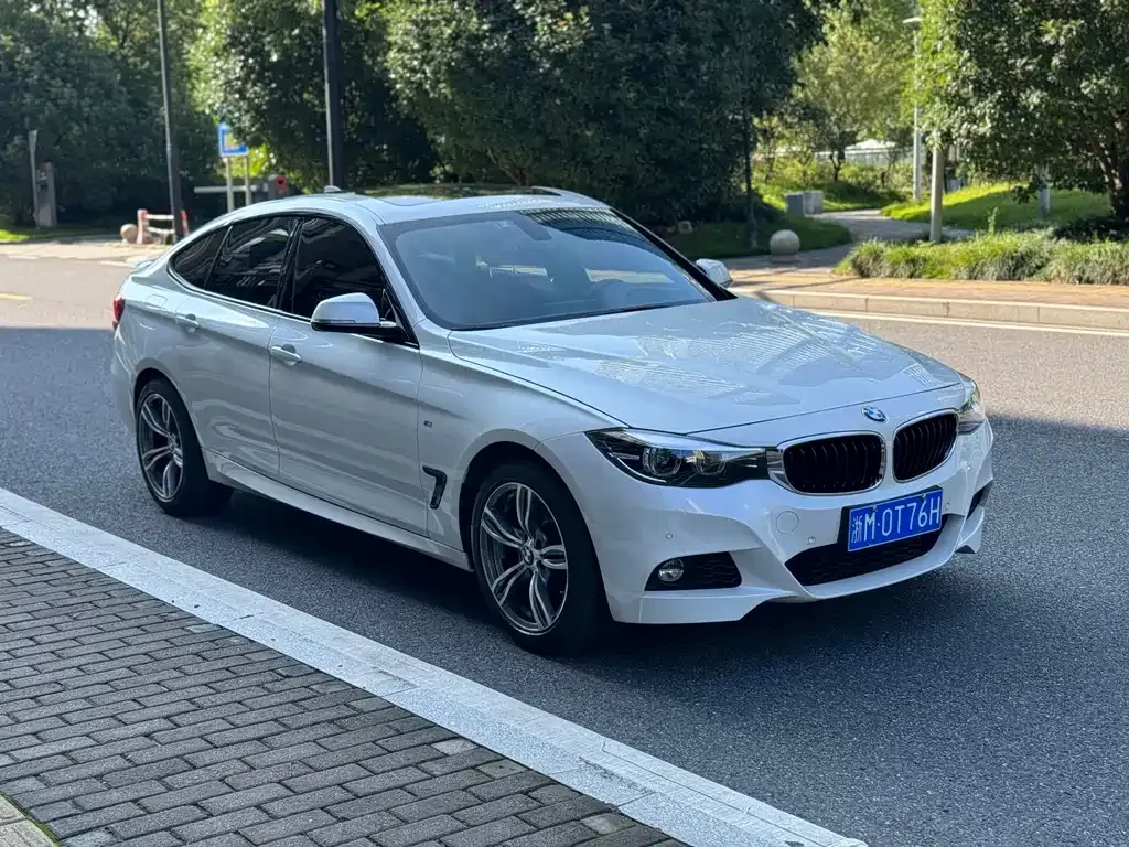 BMW 3 Series GT — фото 10