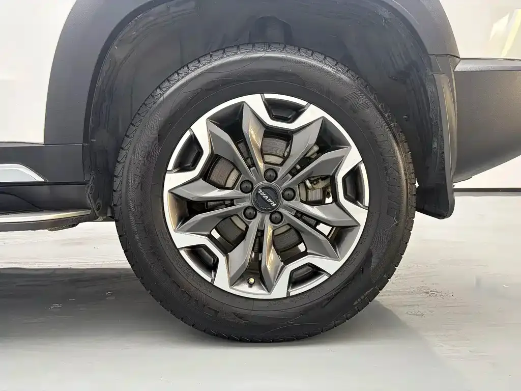 Haval Big Dog — фото 10