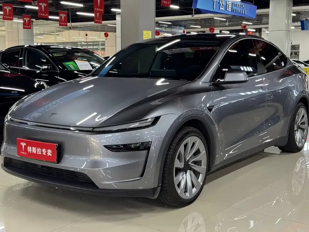 Tesla Model Y — фото 1