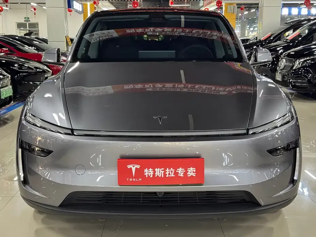 Tesla Model Y — фото 5