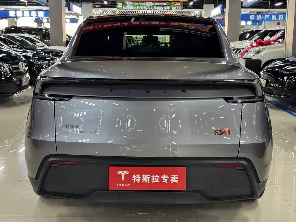 Tesla Model Y — фото 8