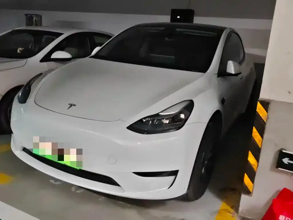Tesla Model Y — фото 1