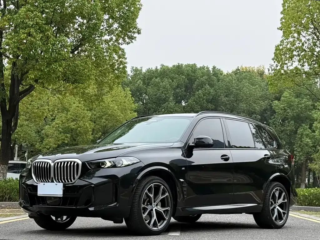 BMW X5 — фото 1