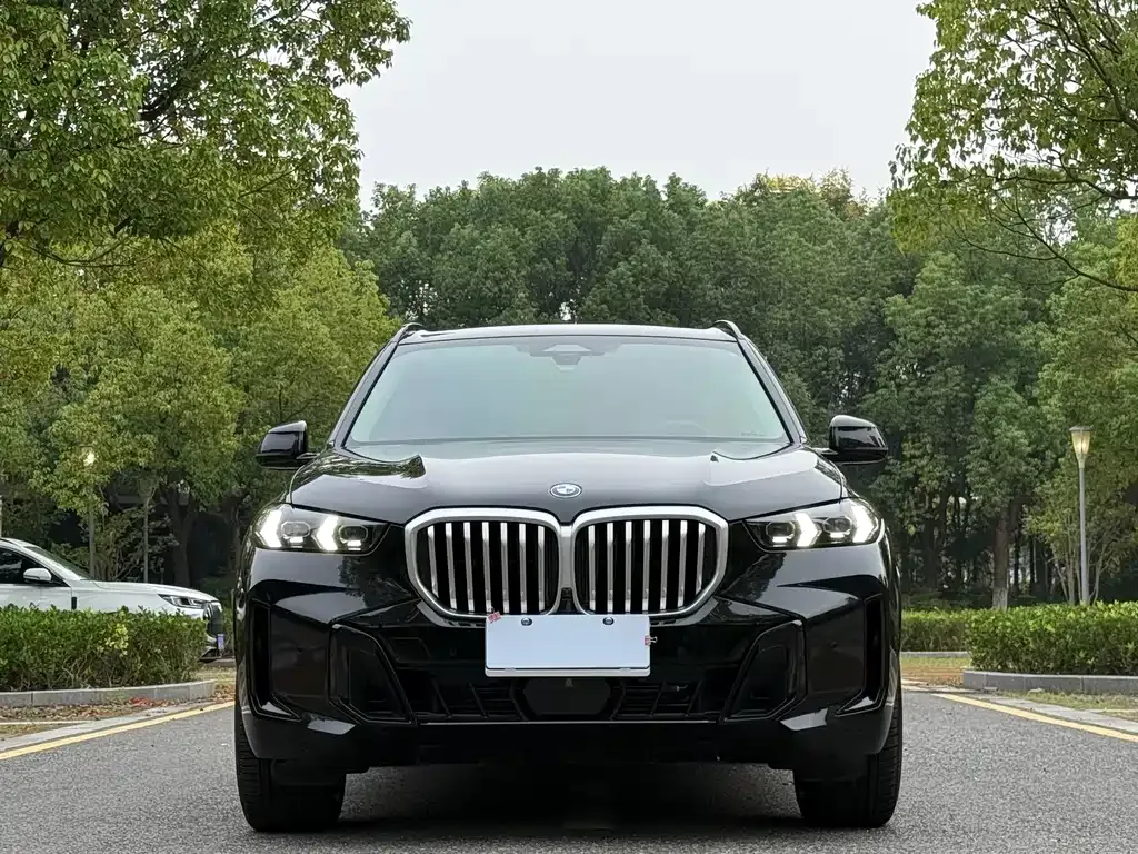 BMW X5 — фото 9