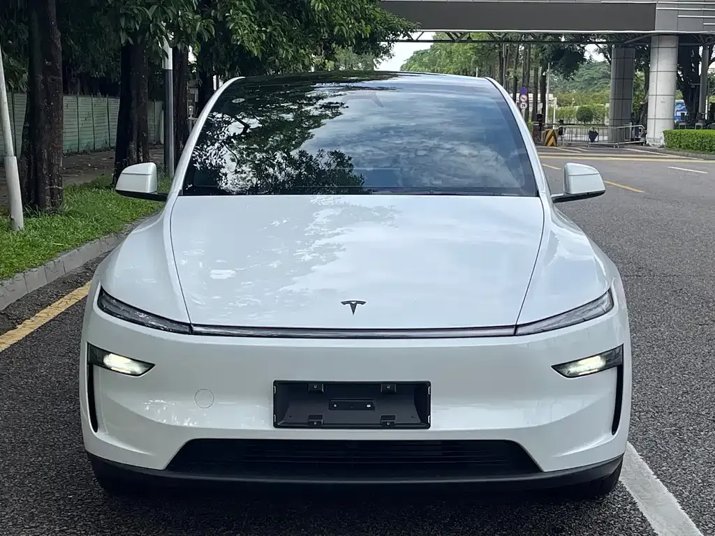 Tesla Model Y — фото 10